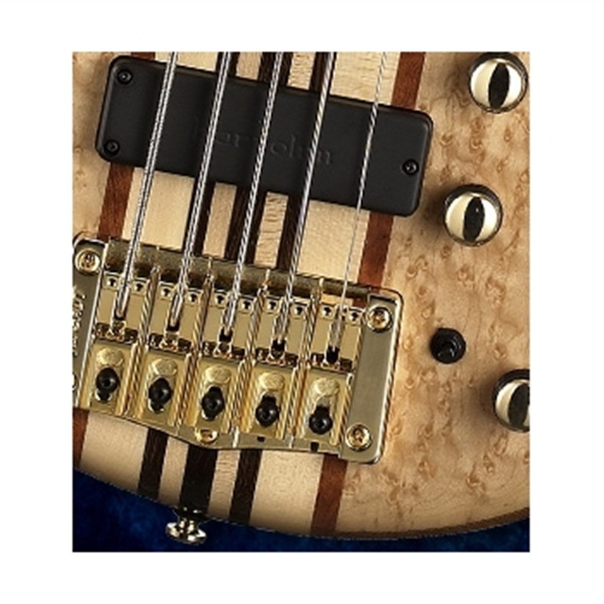 CORT A5 CUSTOM 20THNAT BAS GİTAR 5 TELLİ