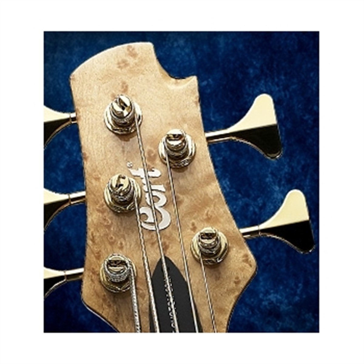 CORT A5 CUSTOM 20THNAT BAS GİTAR 5 TELLİ