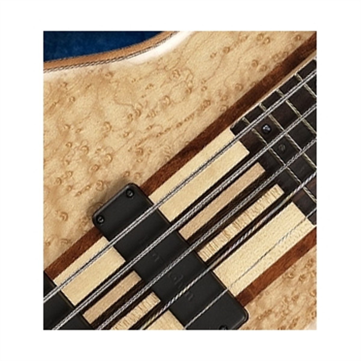 CORT A5 CUSTOM 20THNAT BAS GİTAR 5 TELLİ