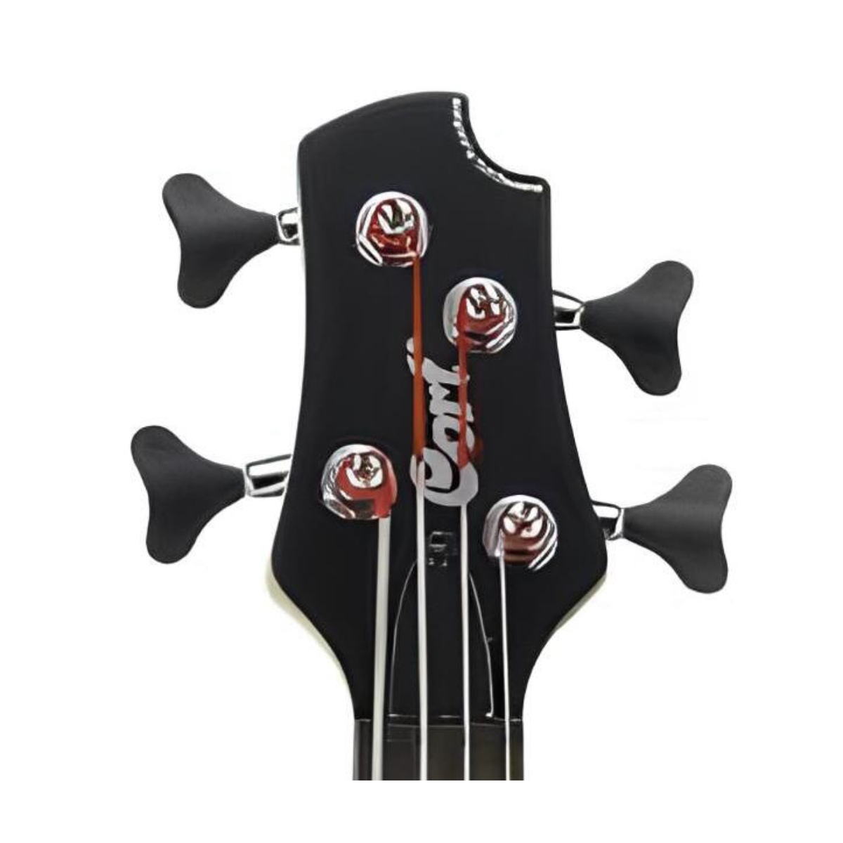 CORT AB4WS BAS GİTAR