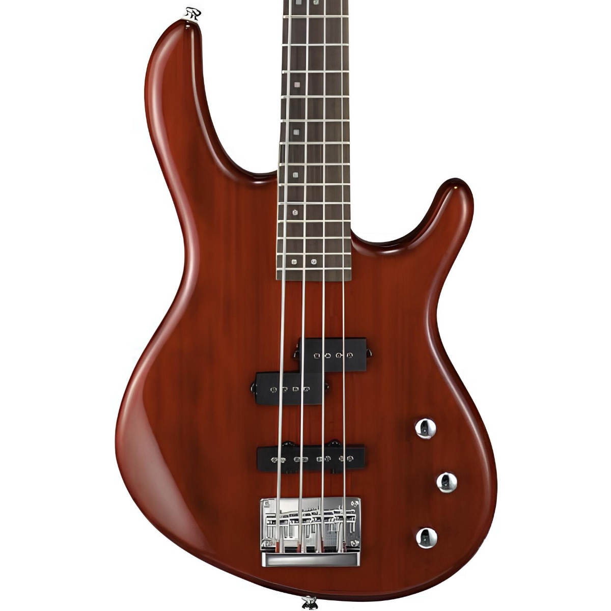 CORT AB4WS BAS GİTAR