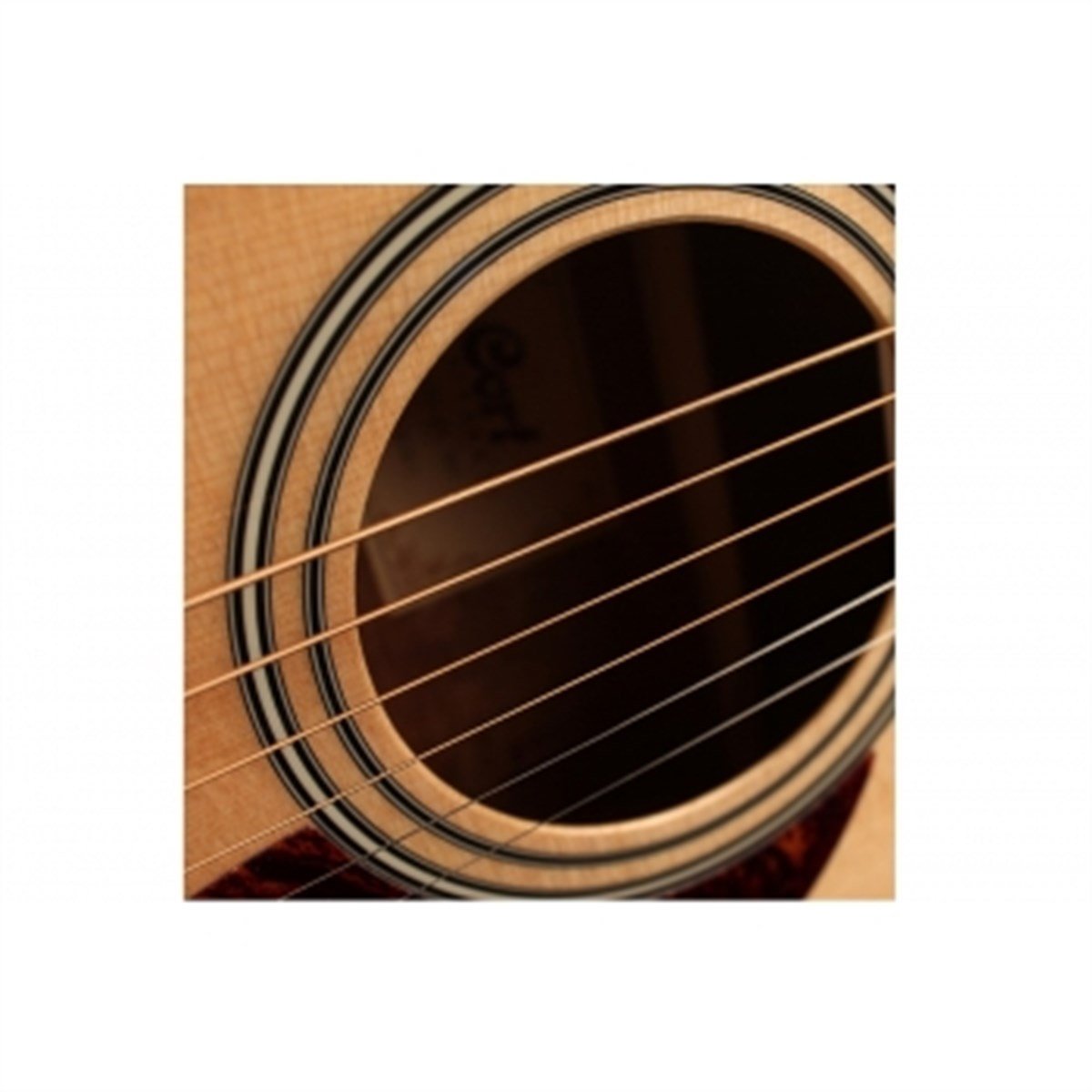 CORT AF510E-OPW ELEKTRO AKUSTİK GİTAR