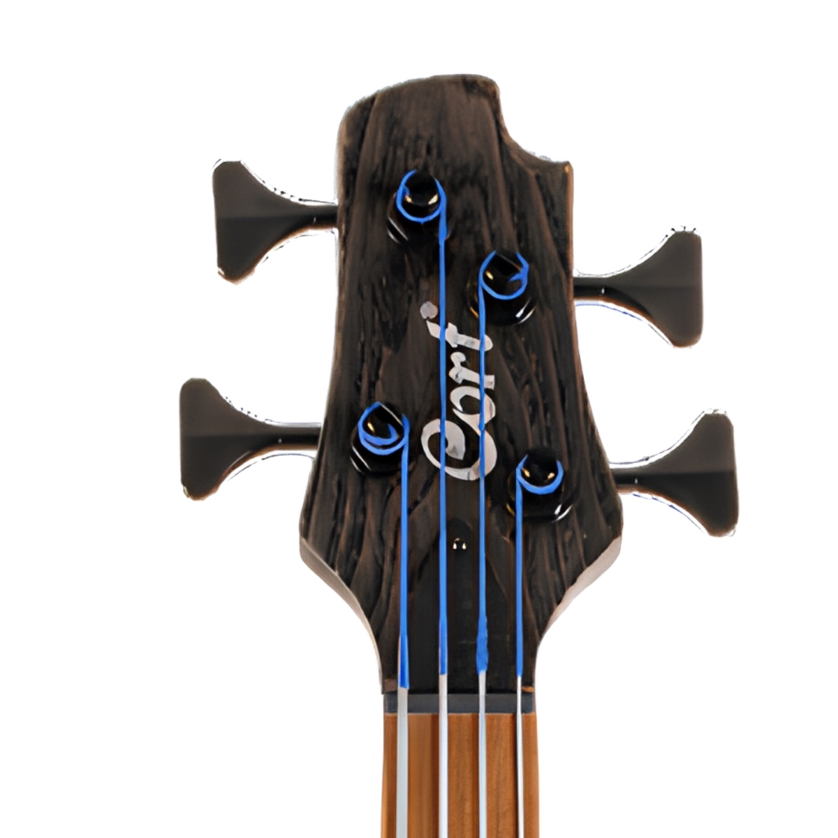 CORT B4 ELEMENT FL OPTB  BAS GİTAR 4 TELLİ PERDESİZ