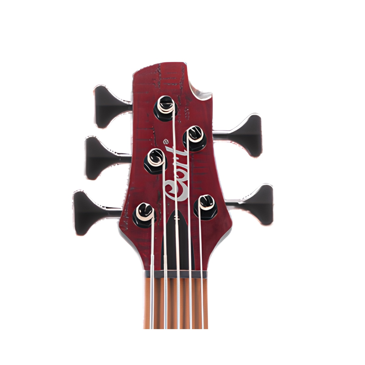 CORT B5 ELEMENT OPBR BAS GİTAR 5 TELLİ