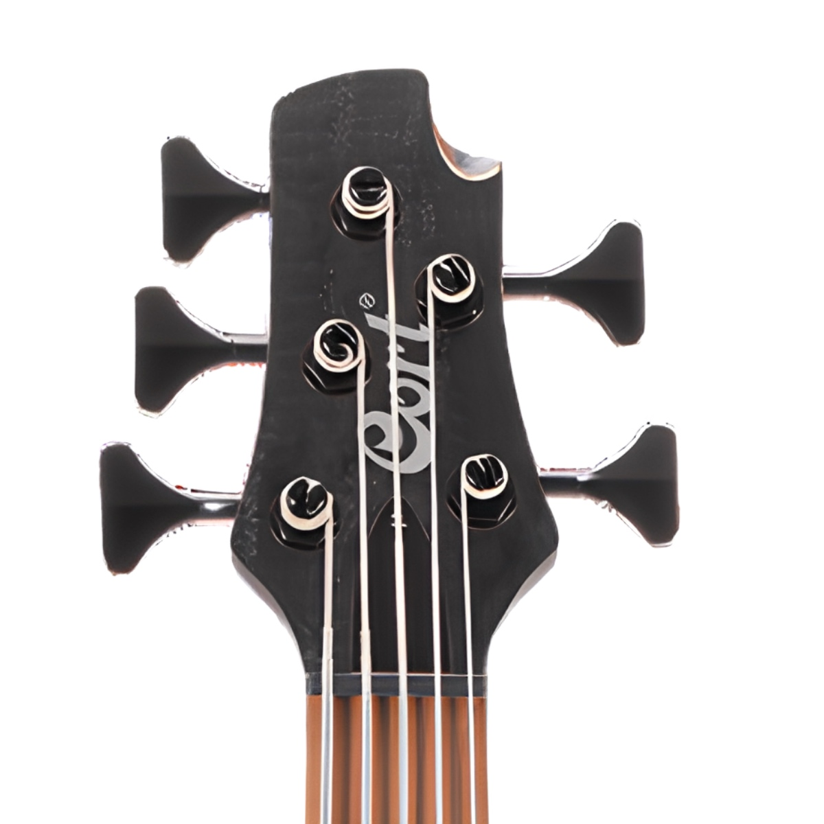 CORT B5 ELEMENT OPTB BAS GİTAR 5 TELLİ