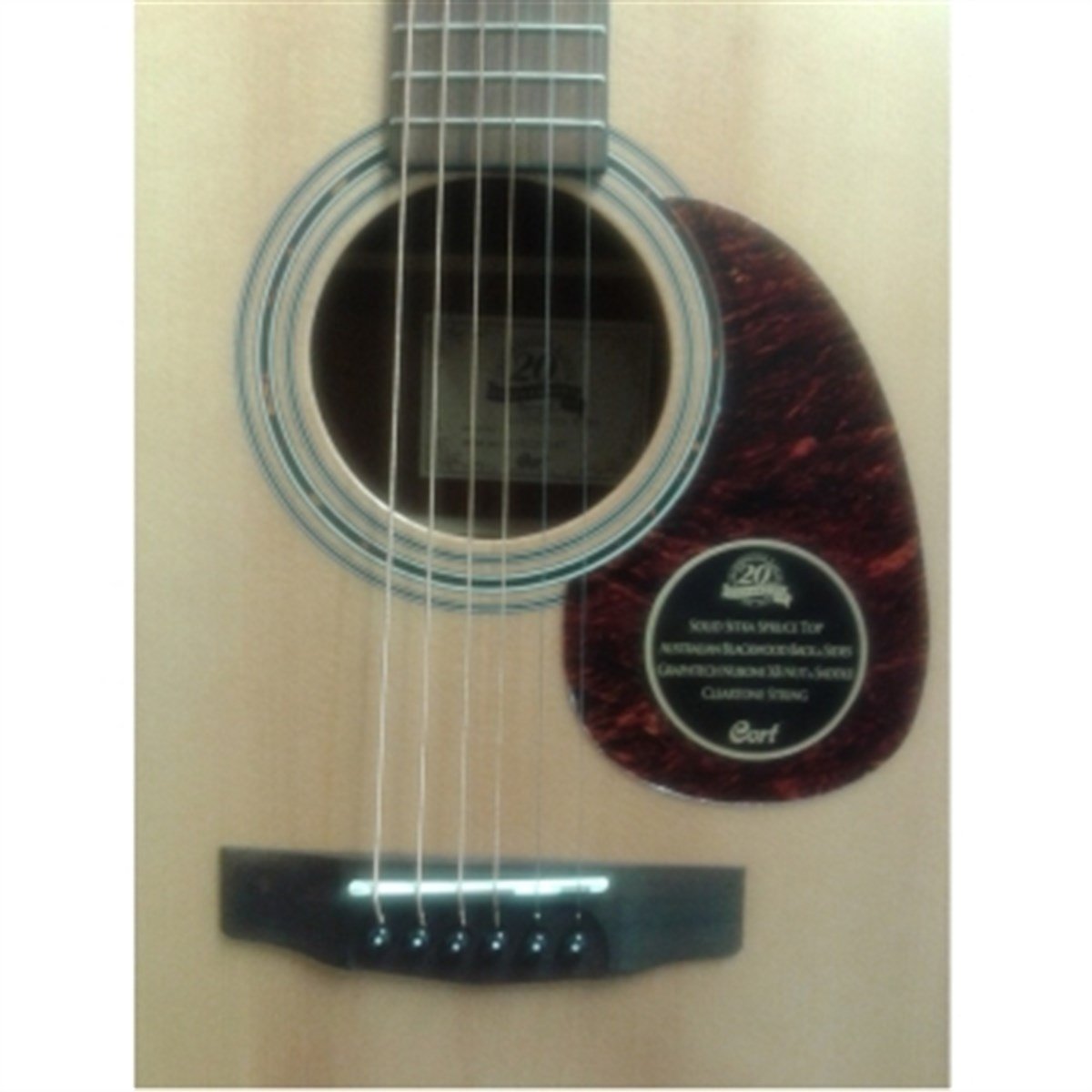 CORT EARTH20TH-FNS ELEKTRO AKUSTİK GİTAR