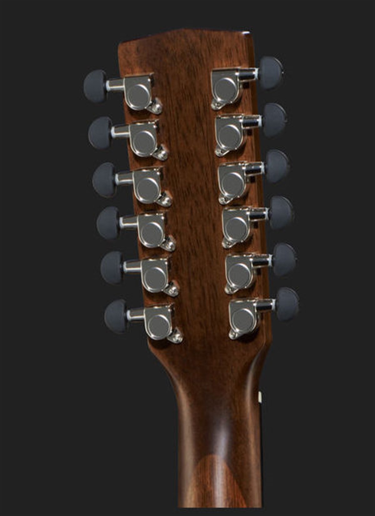 CORT EARTH70-12OP ''12 TELLİ'' Akustik Gitar