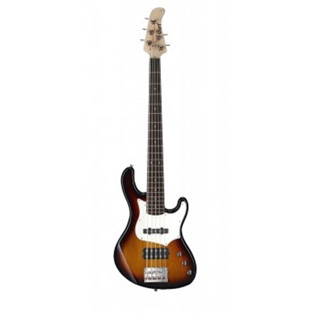 CORT GB35A3TS BAS GİTAR 5 TELLİ