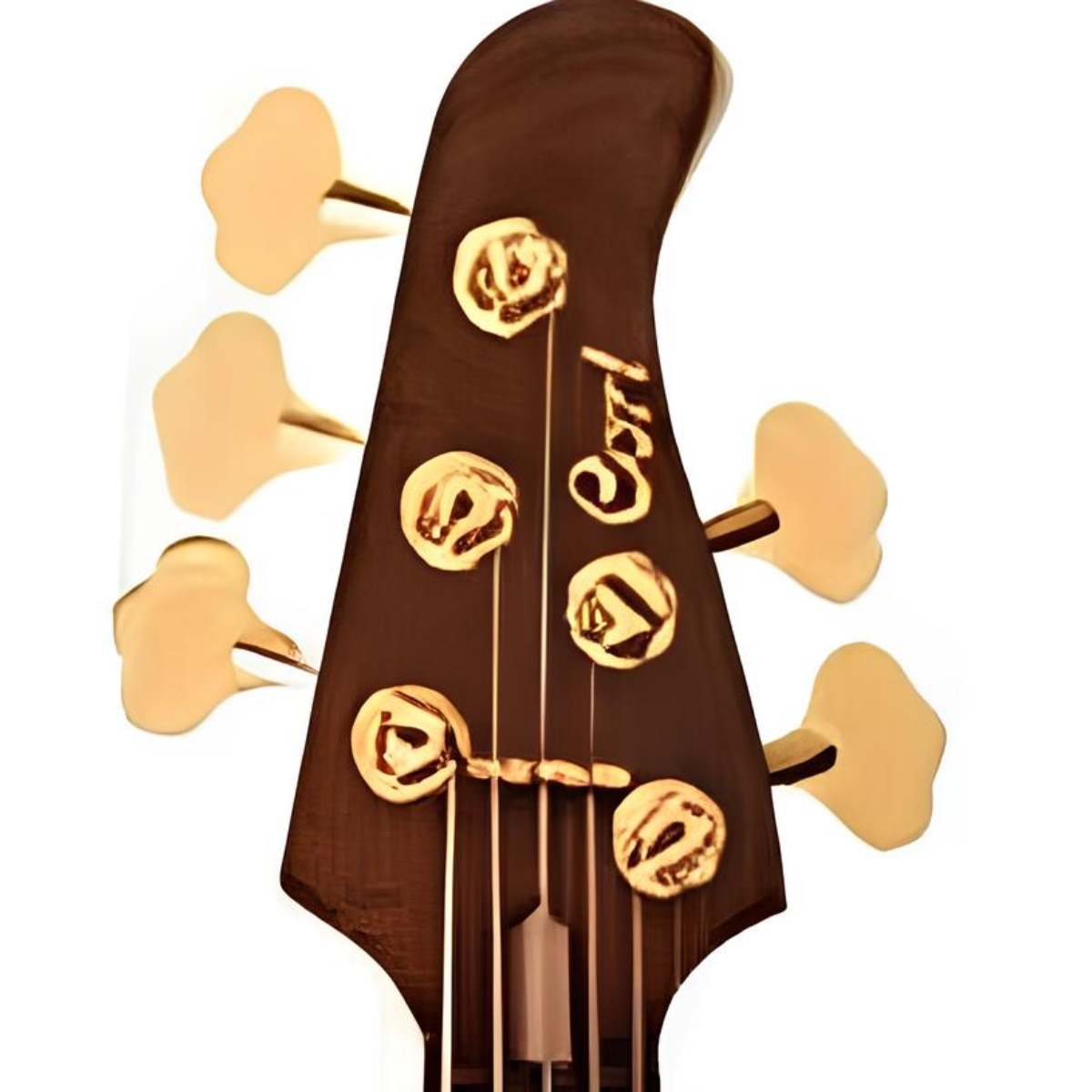 CORT RITHIMIC VNAT BAS GİTAR 5 TELLİ