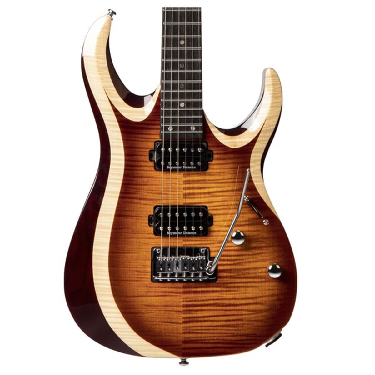 ELEKTRO GİTAR KILIFLI