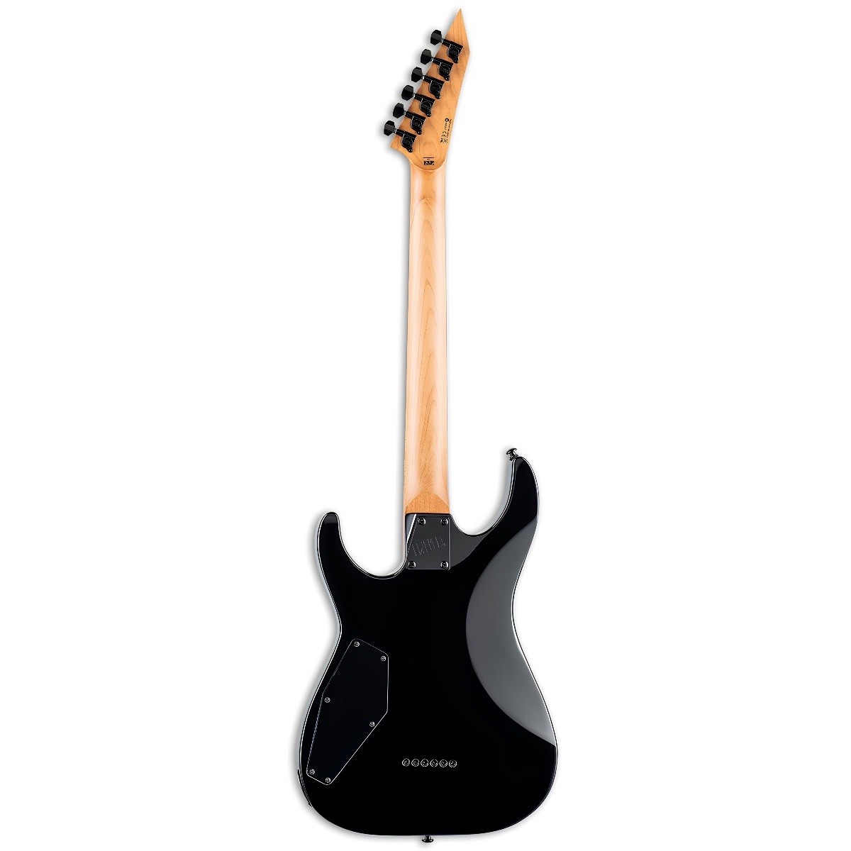 ESP LTD M-200DX NT Blue Burst Elektro Gitar