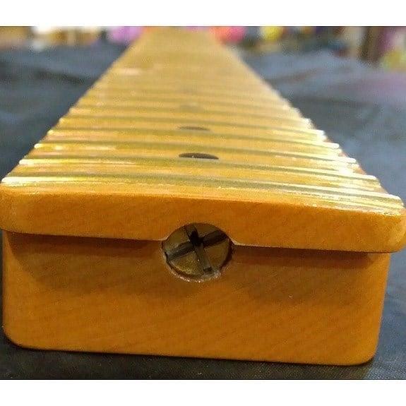 Hosco Japan HNK21-22 VF Honeygloss Vintage Tek Parça Maple Tele Sap - 22 Perde