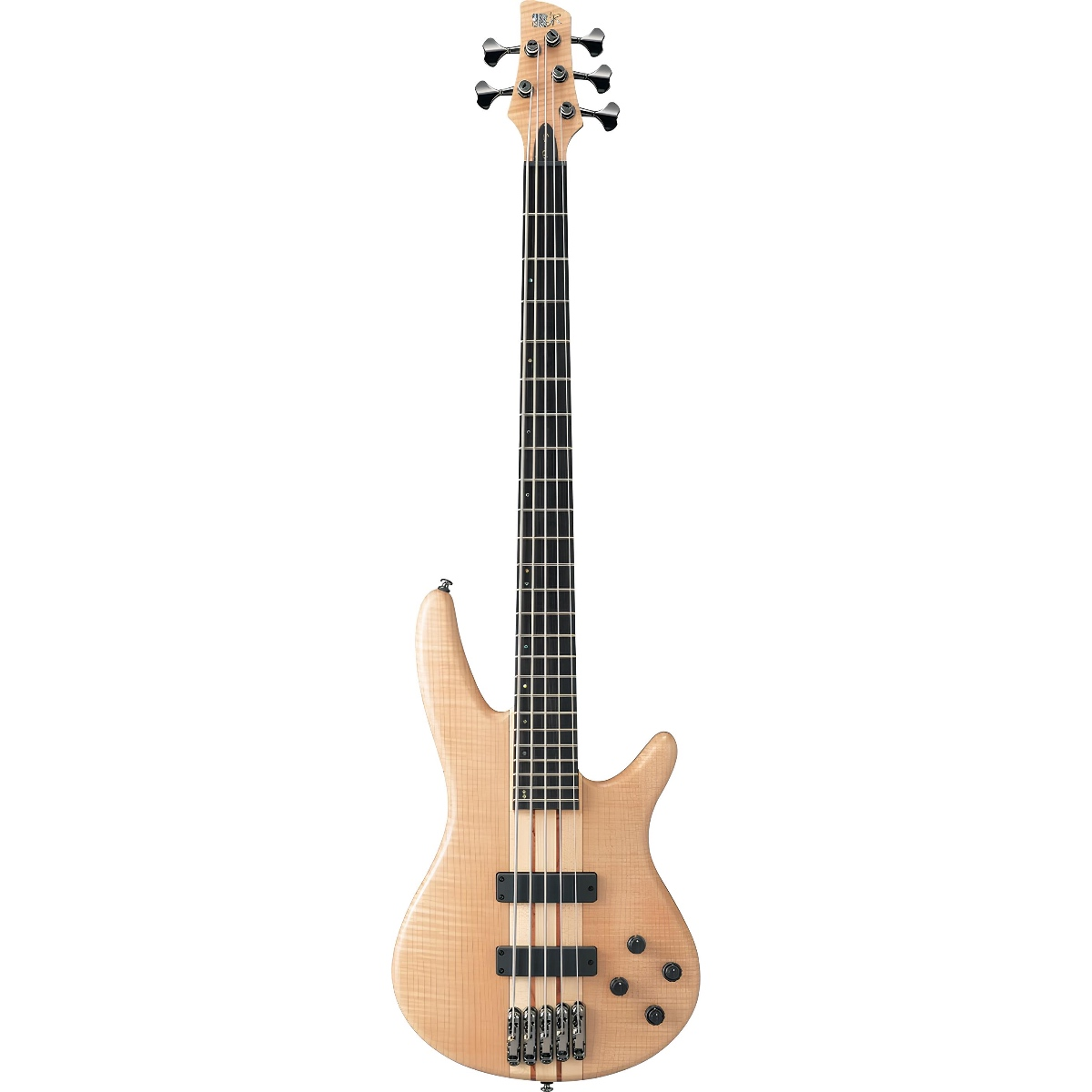 IBANEZ SR1005EFMNTF BAS GİTAR 5 TELLİ KUTULU