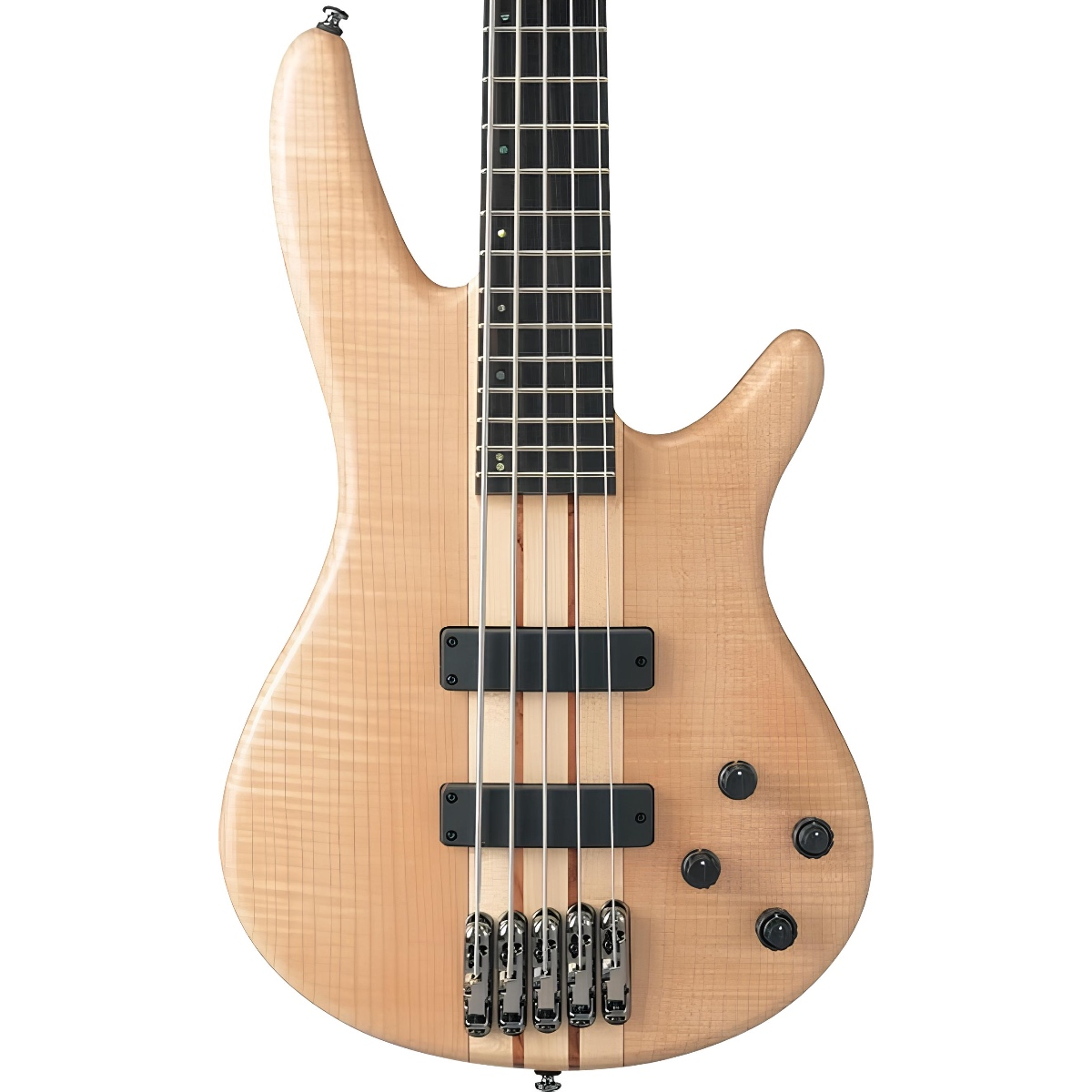 IBANEZ SR1005EFMNTF BAS GİTAR 5 TELLİ KUTULU