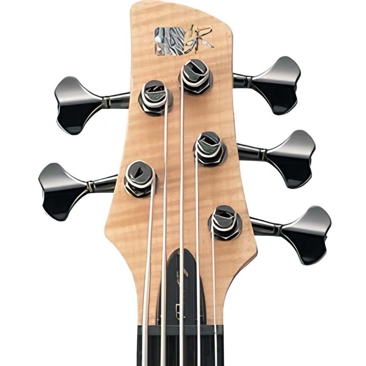 IBANEZ SR1005EFMNTF BAS GİTAR 5 TELLİ KUTULU