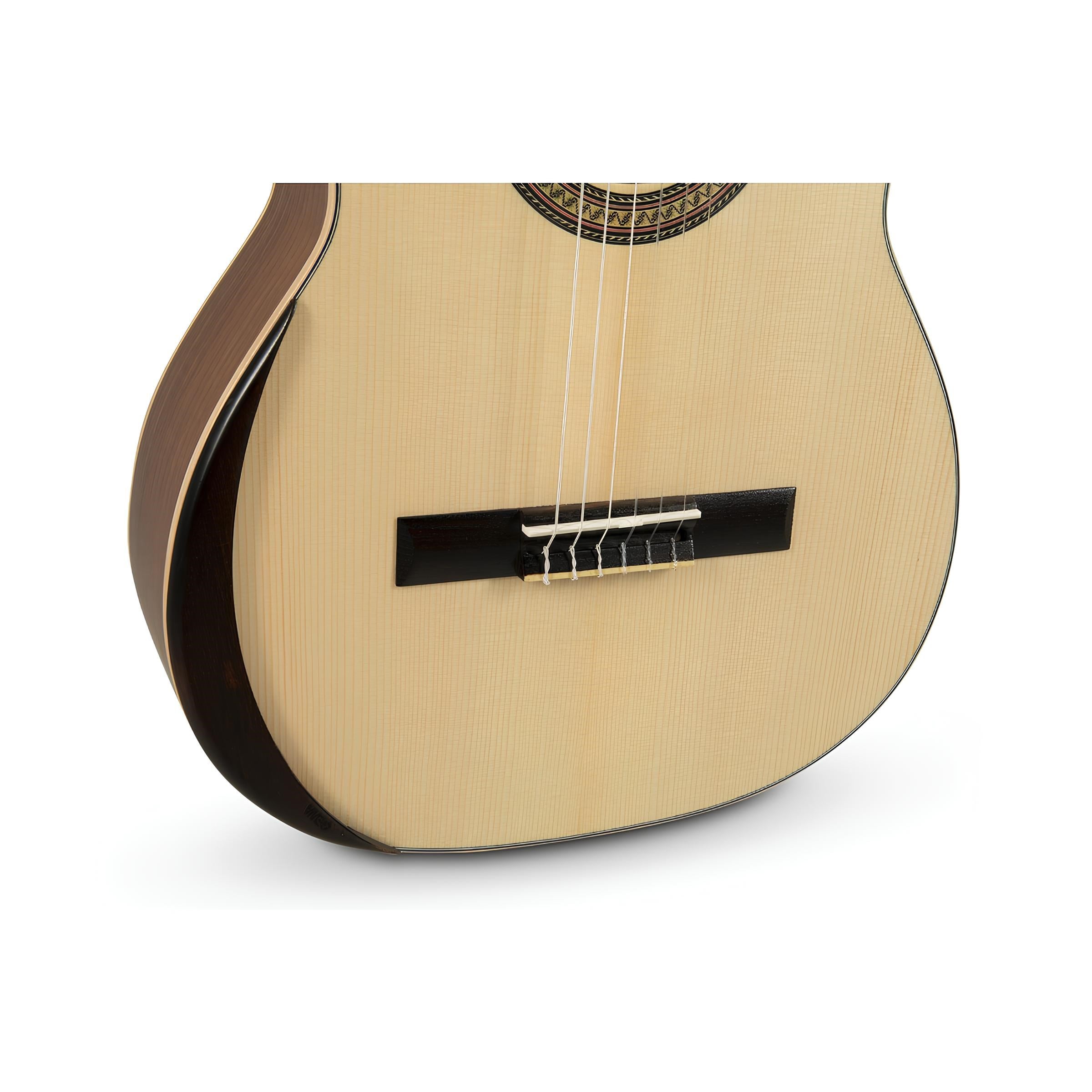 Manuel Rodriguez Ecologia E-65 Klasik Gitar