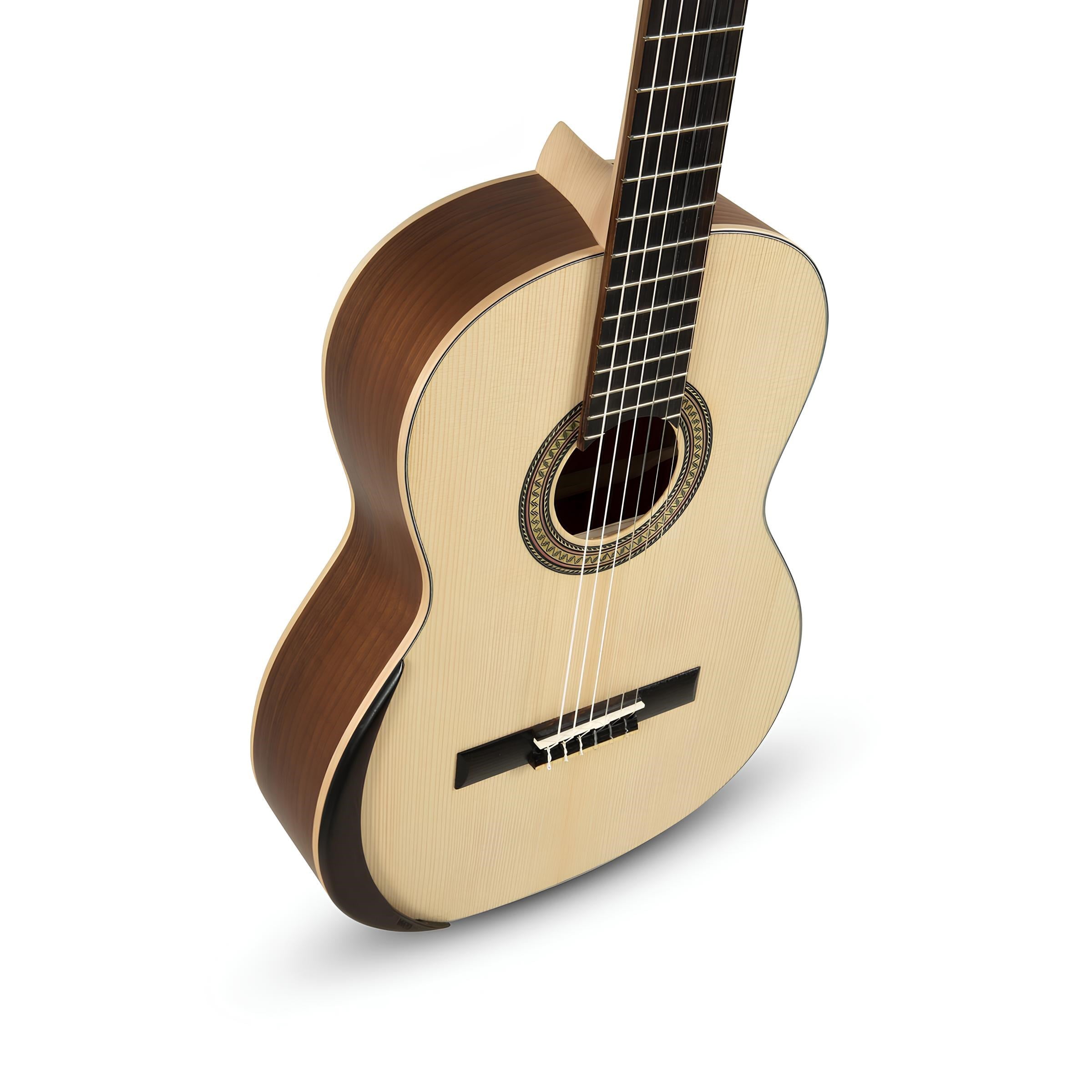 Manuel Rodriguez Ecologia E-65 Klasik Gitar
