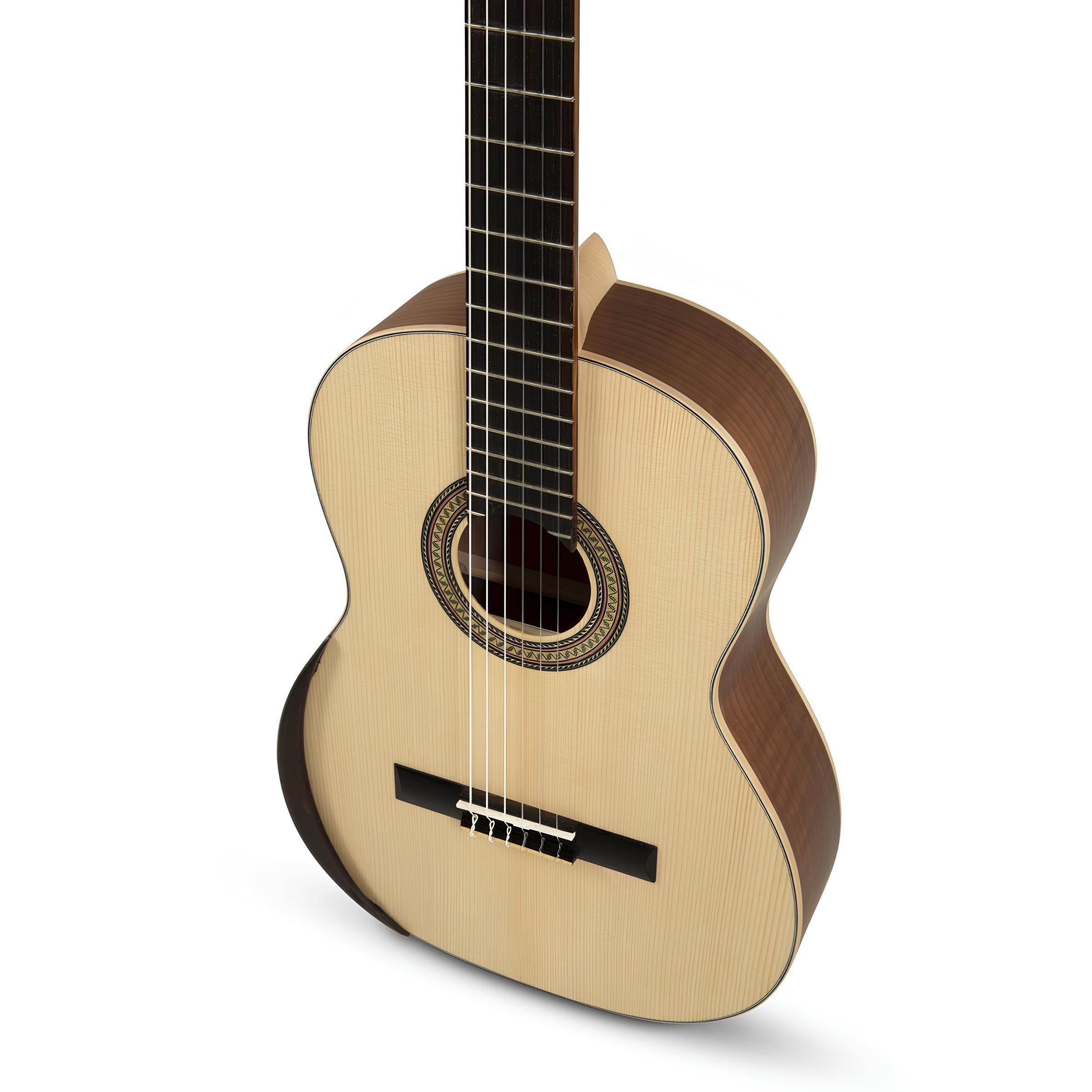 Manuel Rodriguez Ecologia E-65 Klasik Gitar