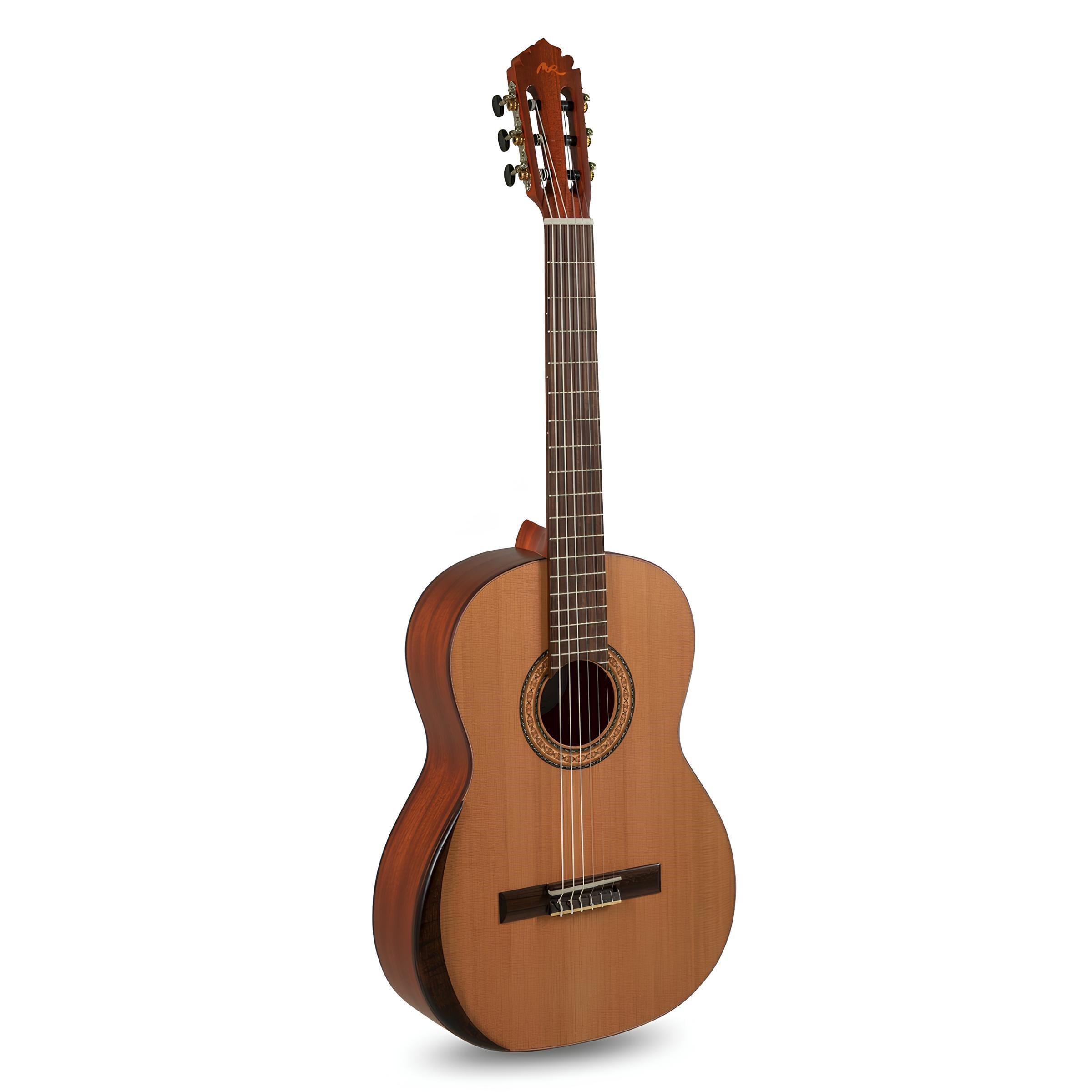 Manuel Rodriguez Tradicion T-65 Klasik Gitar