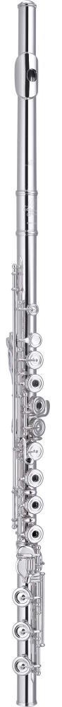 Miyazawa PB-102REH PB-102RE gibi, B kuyruklu