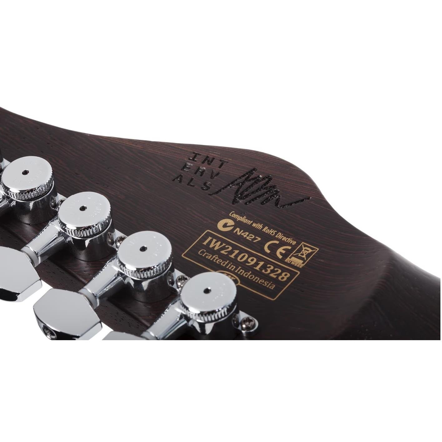 Schecter Aaron Marshall AM-6 Trem Elektro Gitar (Arctic Jade)