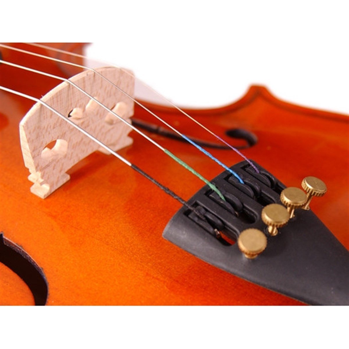 Stentor 1018/E Standart Keman (1/2) Kutu, Yay ve Reçine Dahil