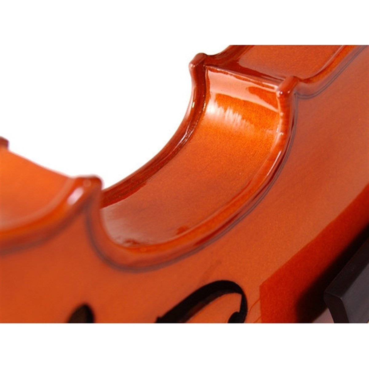 Stentor 1018/E Standart Keman (1/2) Kutu, Yay ve Reçine Dahil