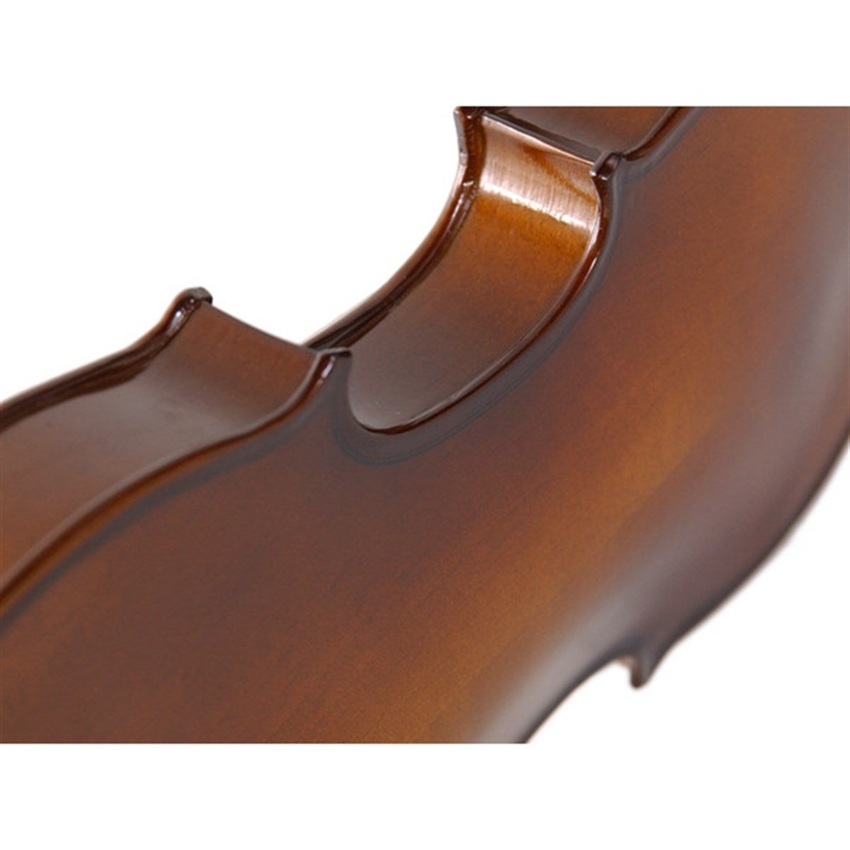 Stentor 1542/E Graduate Keman (1/2) Kutu, Yay ve Reçine Dahil