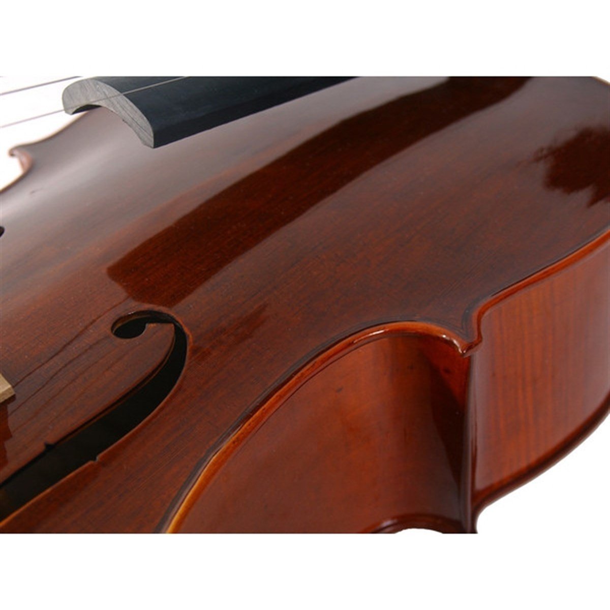 Stentor 1586/A Conservatoire Çello (4/4) Taşıma Çantası, Yay ve Reçine