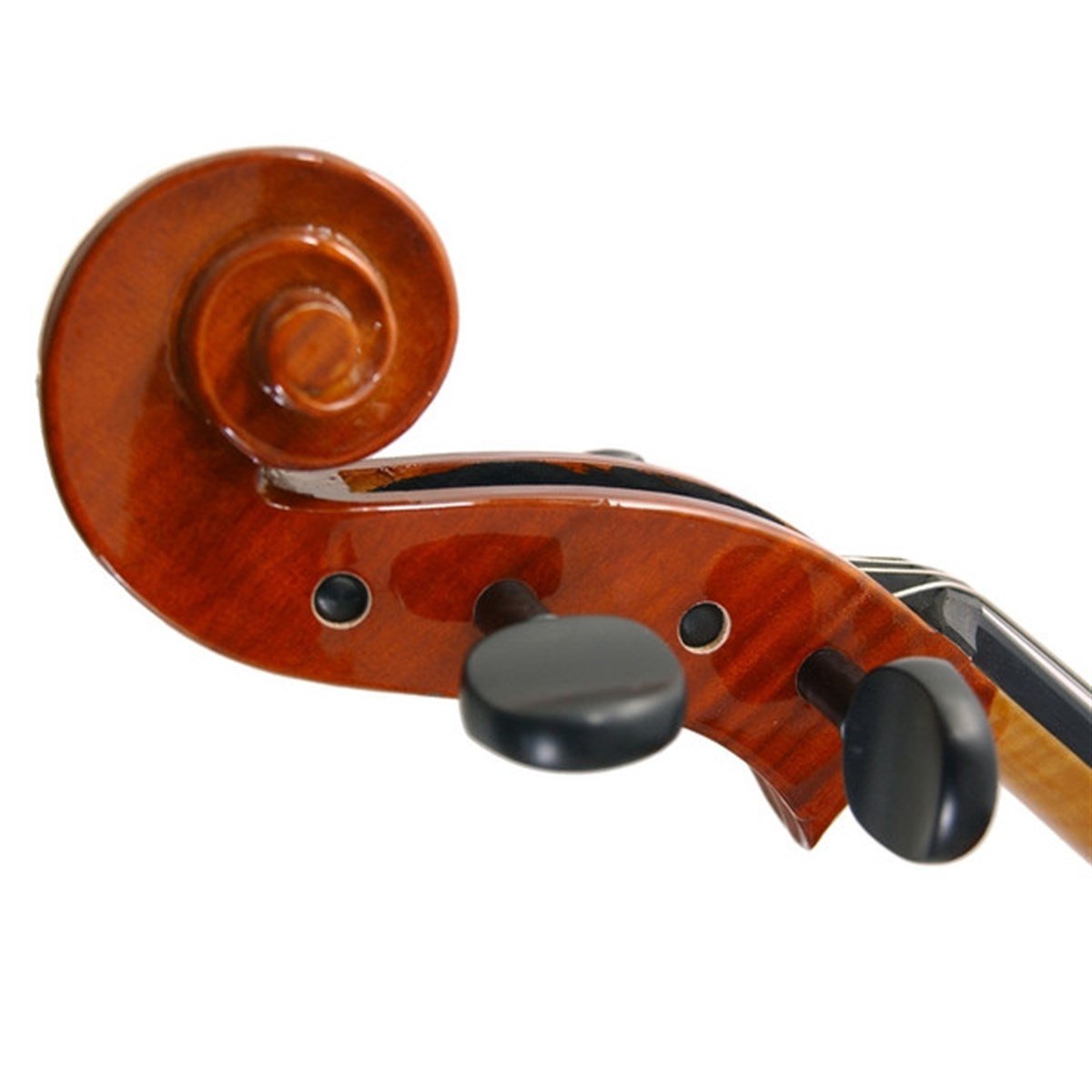 Stentor 1586/A Conservatoire Çello (4/4) Taşıma Çantası, Yay ve Reçine