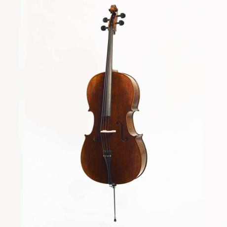 Stentor 1596U/A The Arcadia Çello