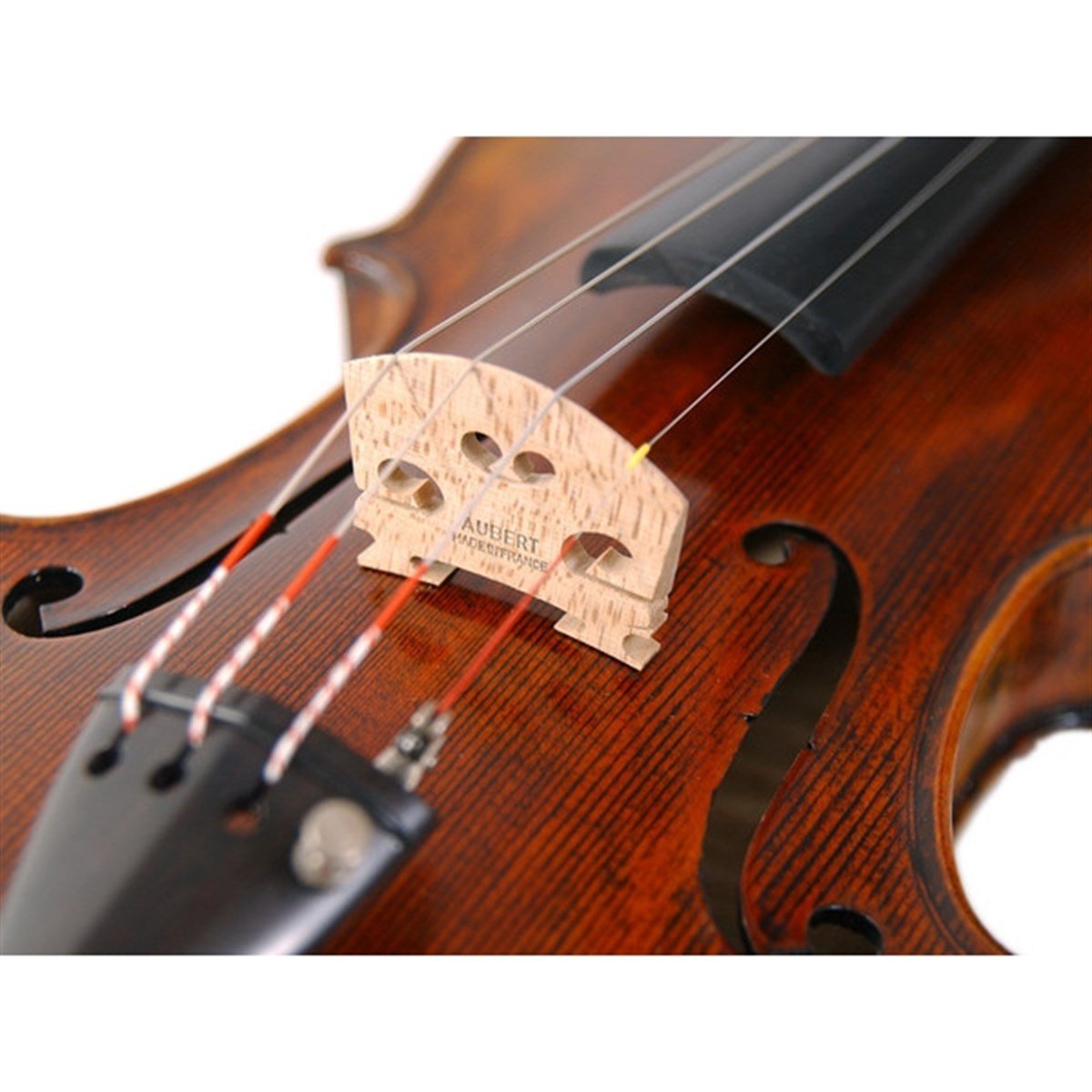 Stentor 1880/A The Arcadia Keman (4/4)