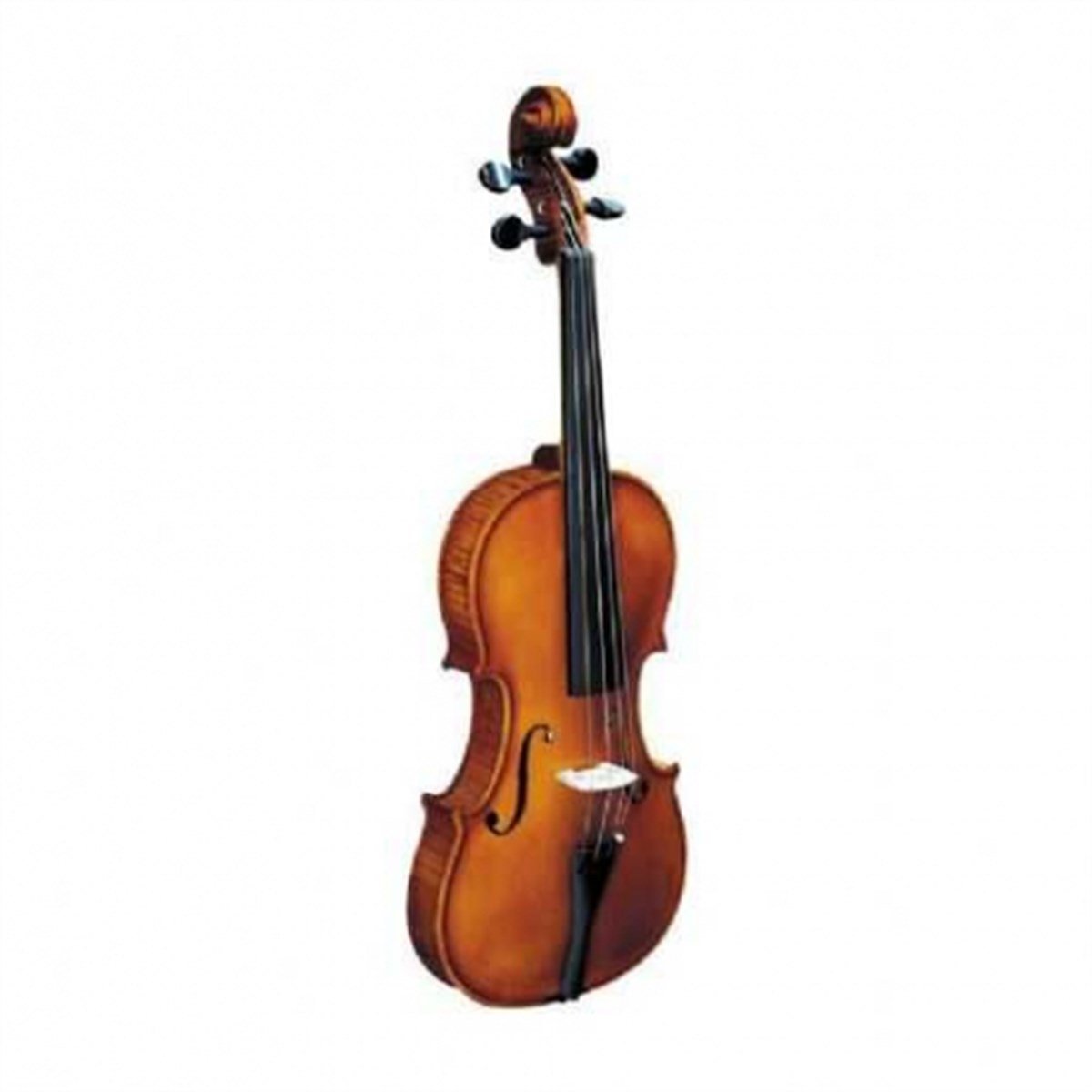 Strunal 193W Keman 4/4