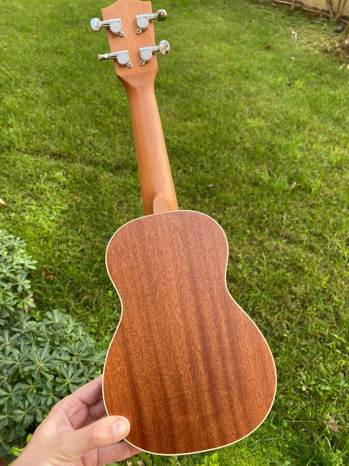 UKULELE AHOLA SOPRANA BOY MAUN- LADİN KAPAK PENA