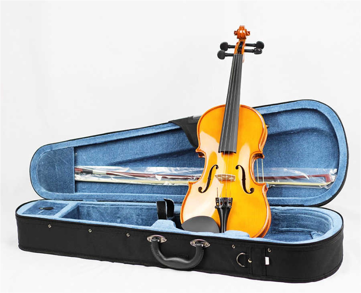 Valencia V160 4/4 Keman Tam Boy Keman