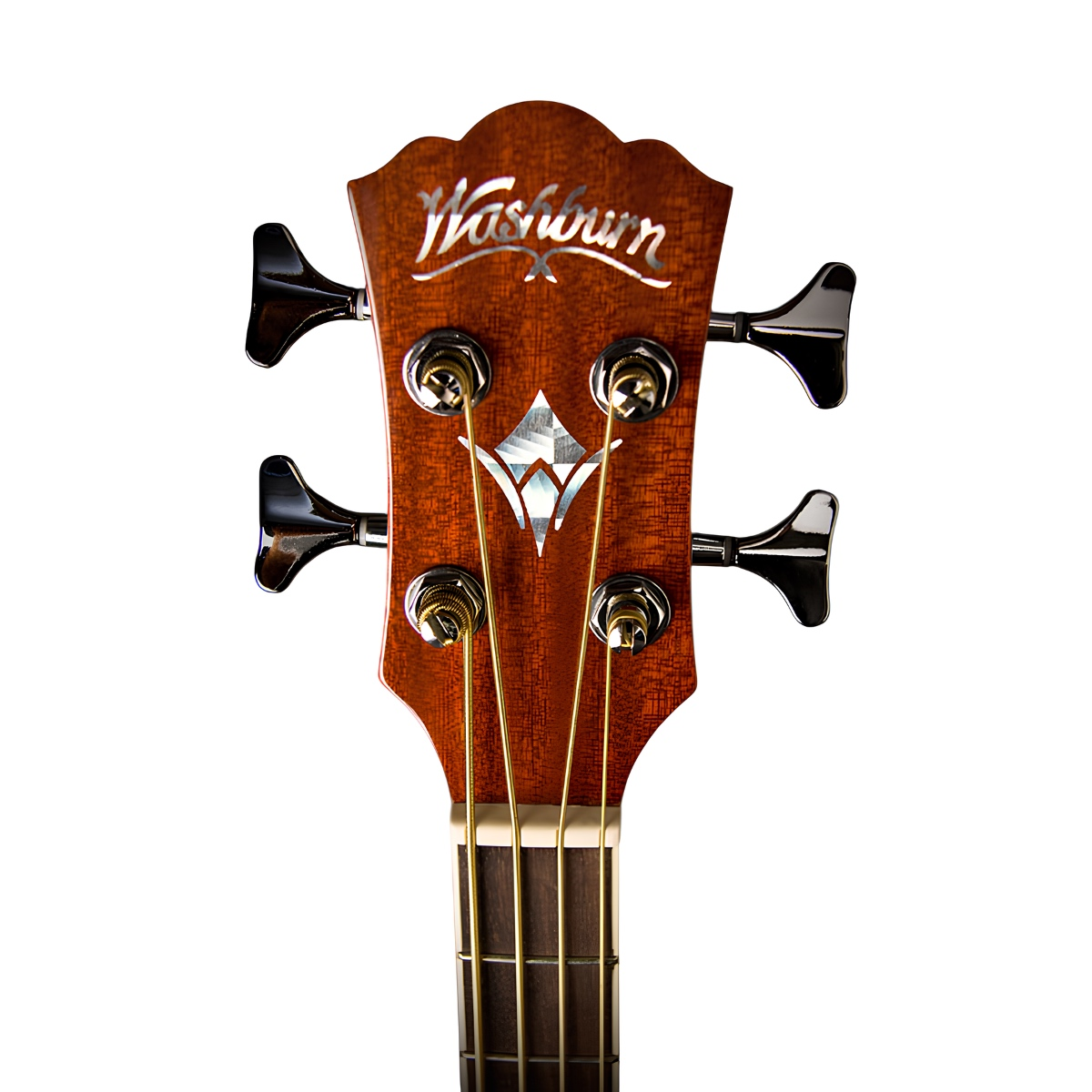 Washburn AB5K Elektro-Akustik Bas Gitar