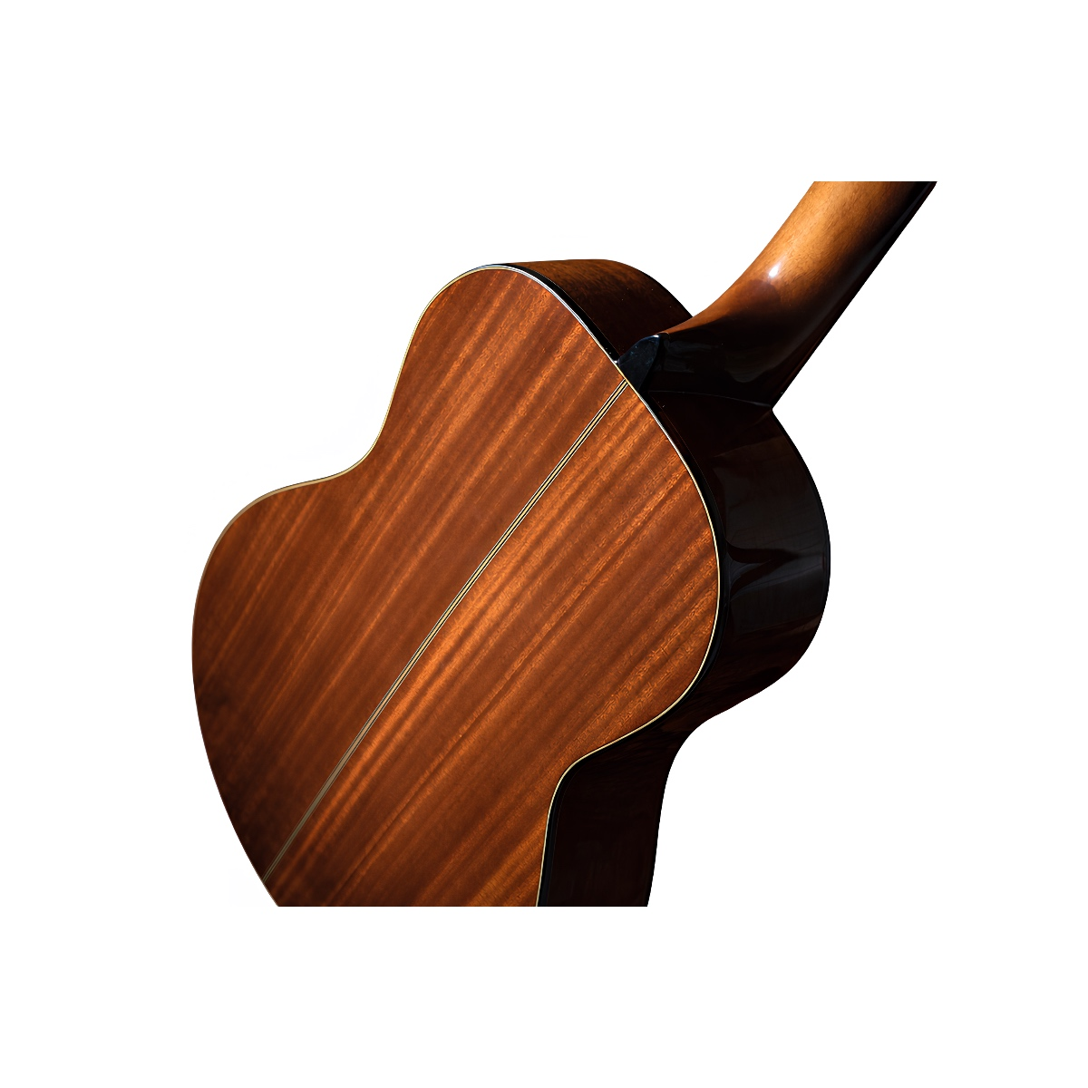 Washburn C40 Klasik Gitar