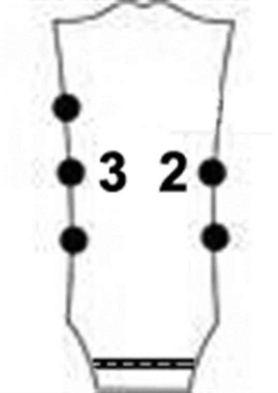 Wilkinson WJB750GD5 Bas Gitar Burgu Seti Beşli Altın (3-2 Dizilim)