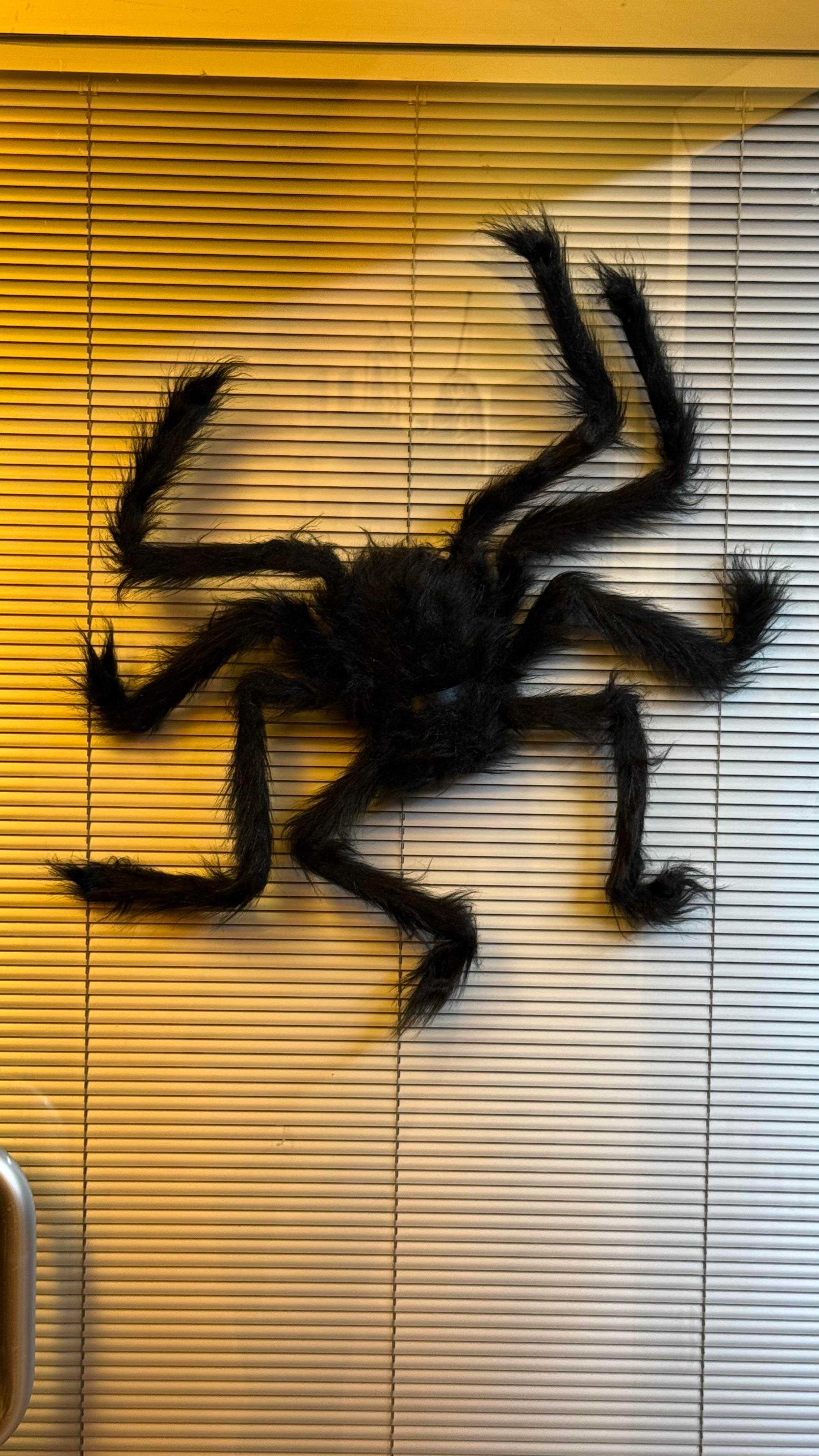 Cansüs50 cm Tüylü Siyah Örümcek Dekor | Cadılar Bayramı Süsü123456947