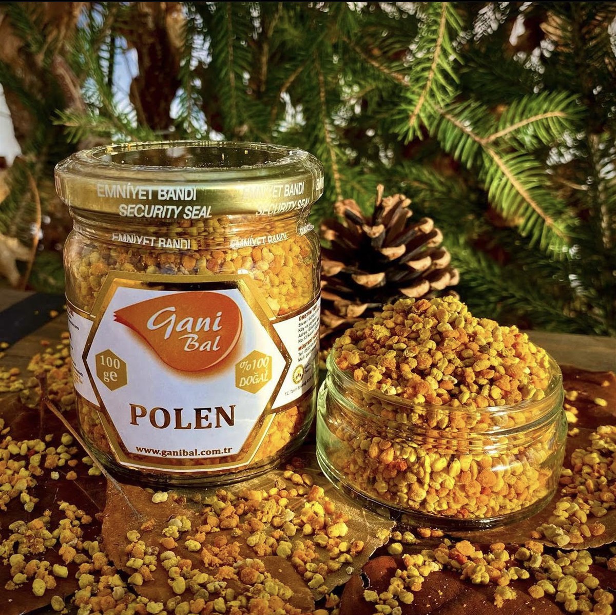 Polen 100 Gr