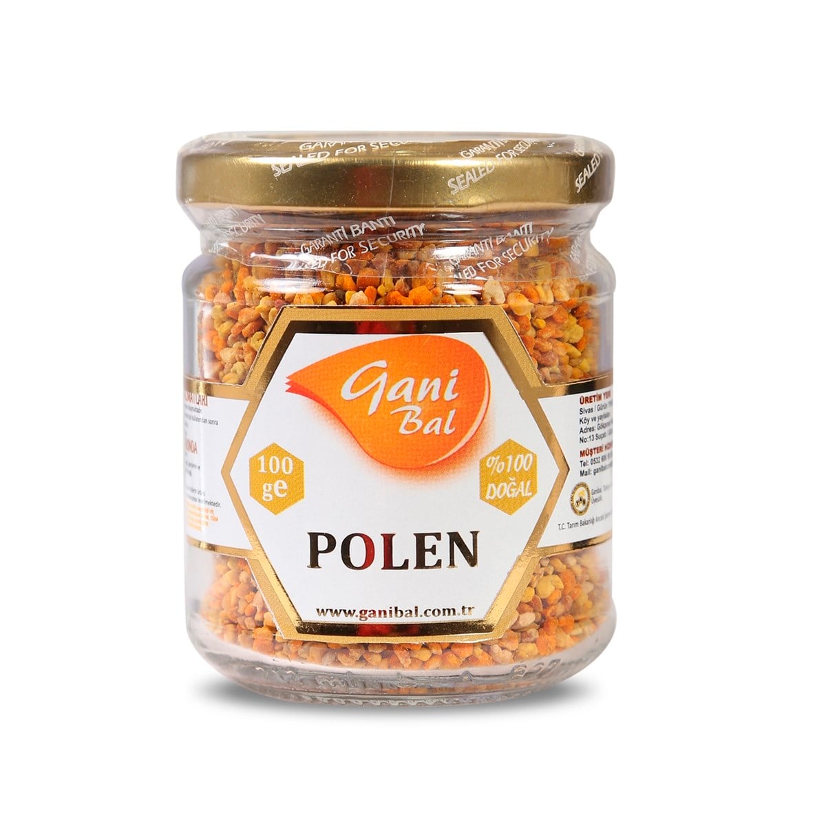 Polen 100 Gr