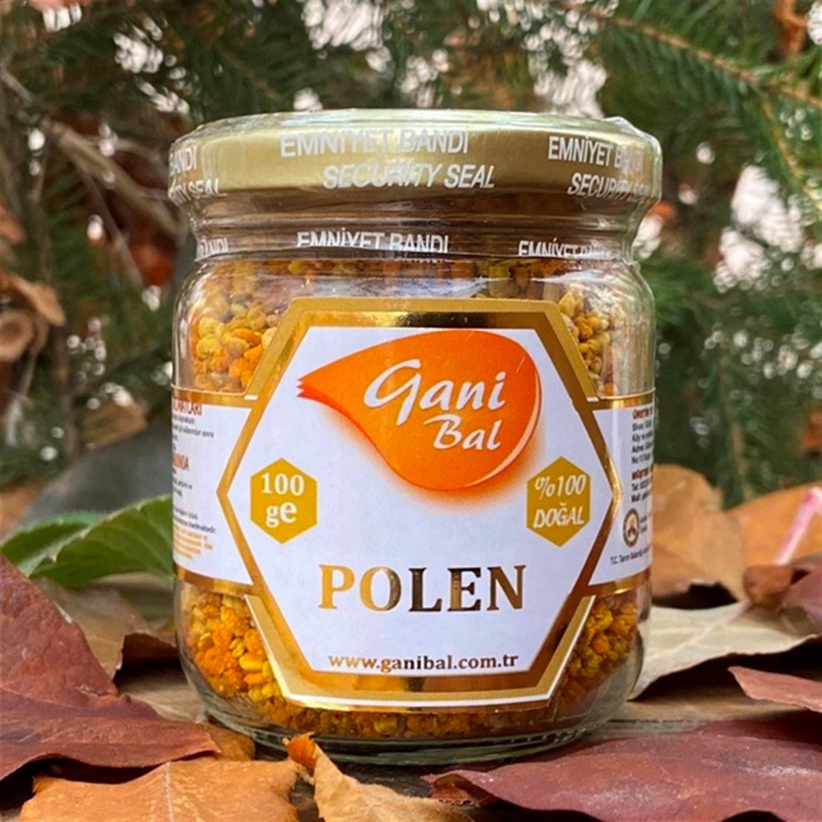 Polen 100 Gr