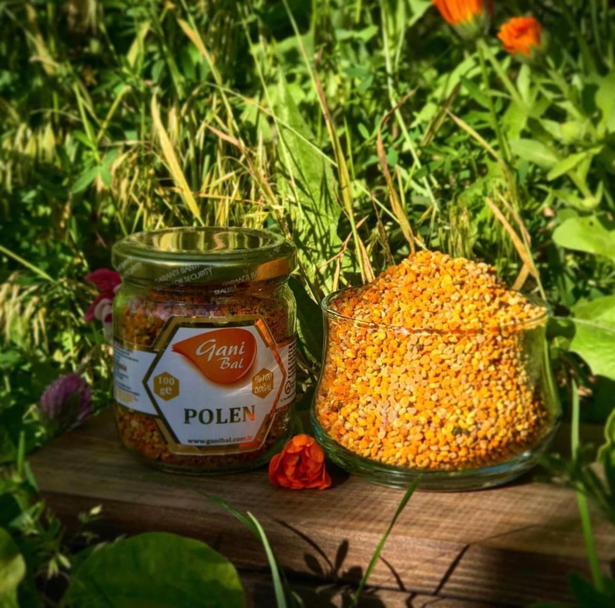 Polen 100 Gr