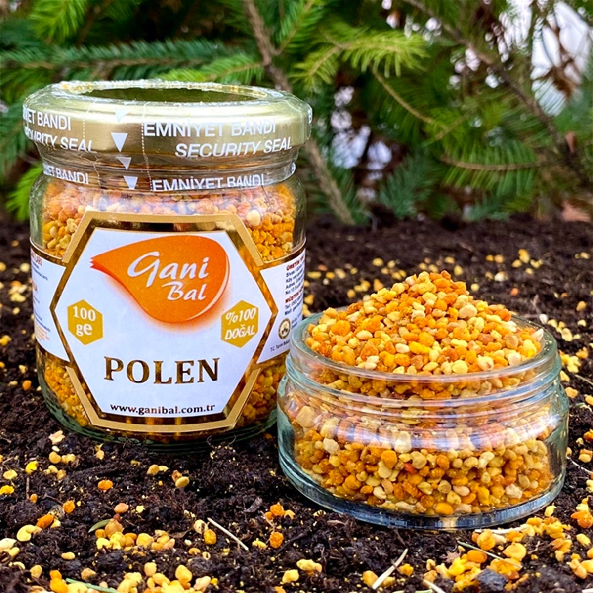 Polen 100 Gr