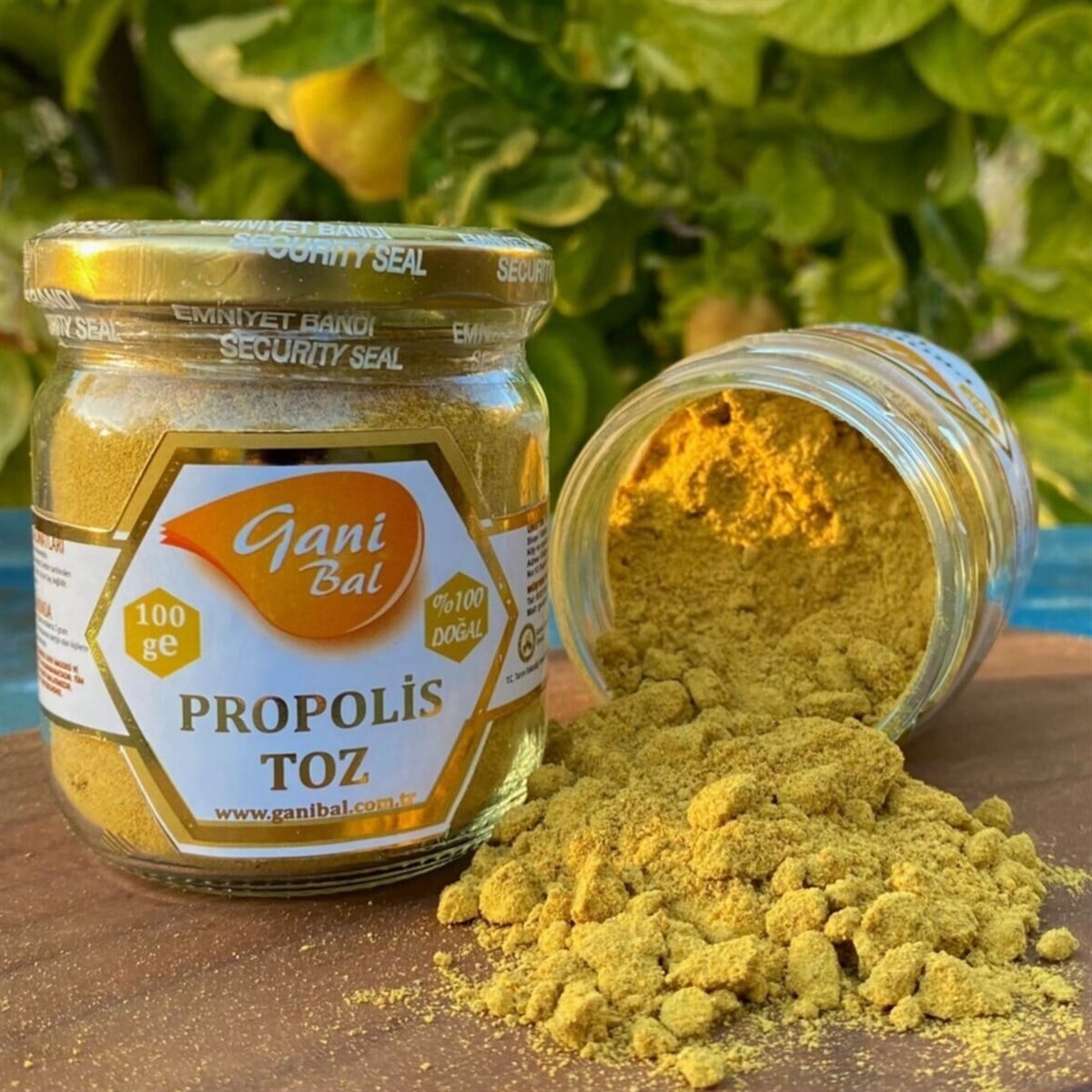 Toz propolis 100 Gr