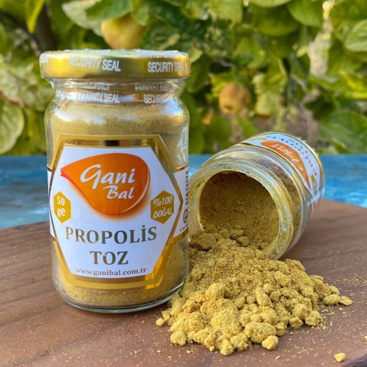 Toz Propolis 50 Gr