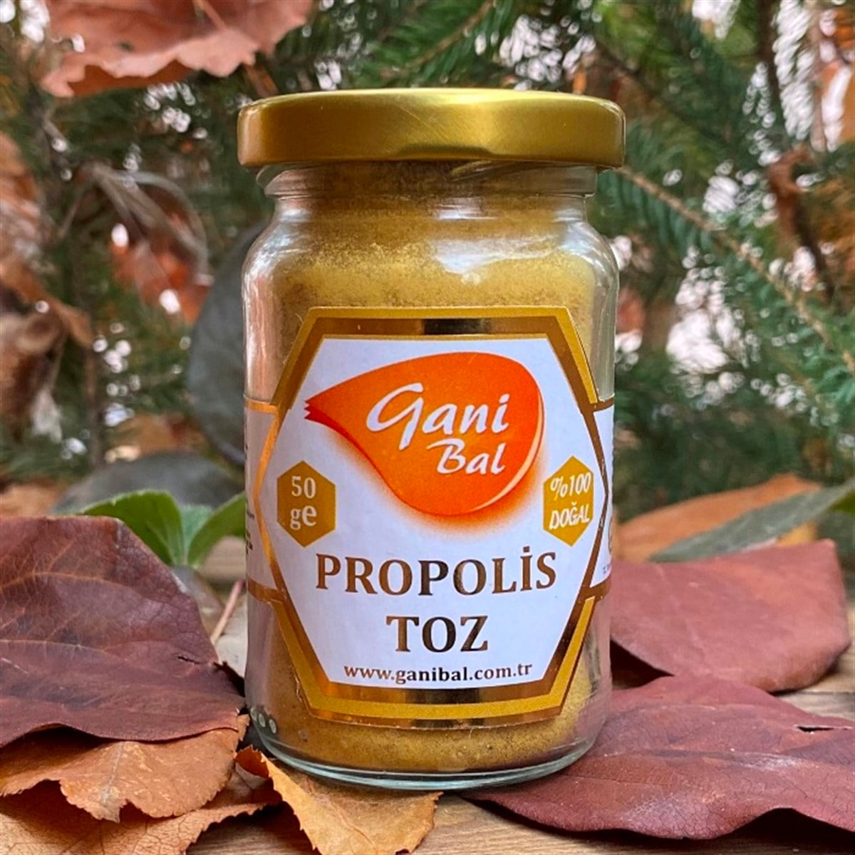 Toz Propolis 50 Gr