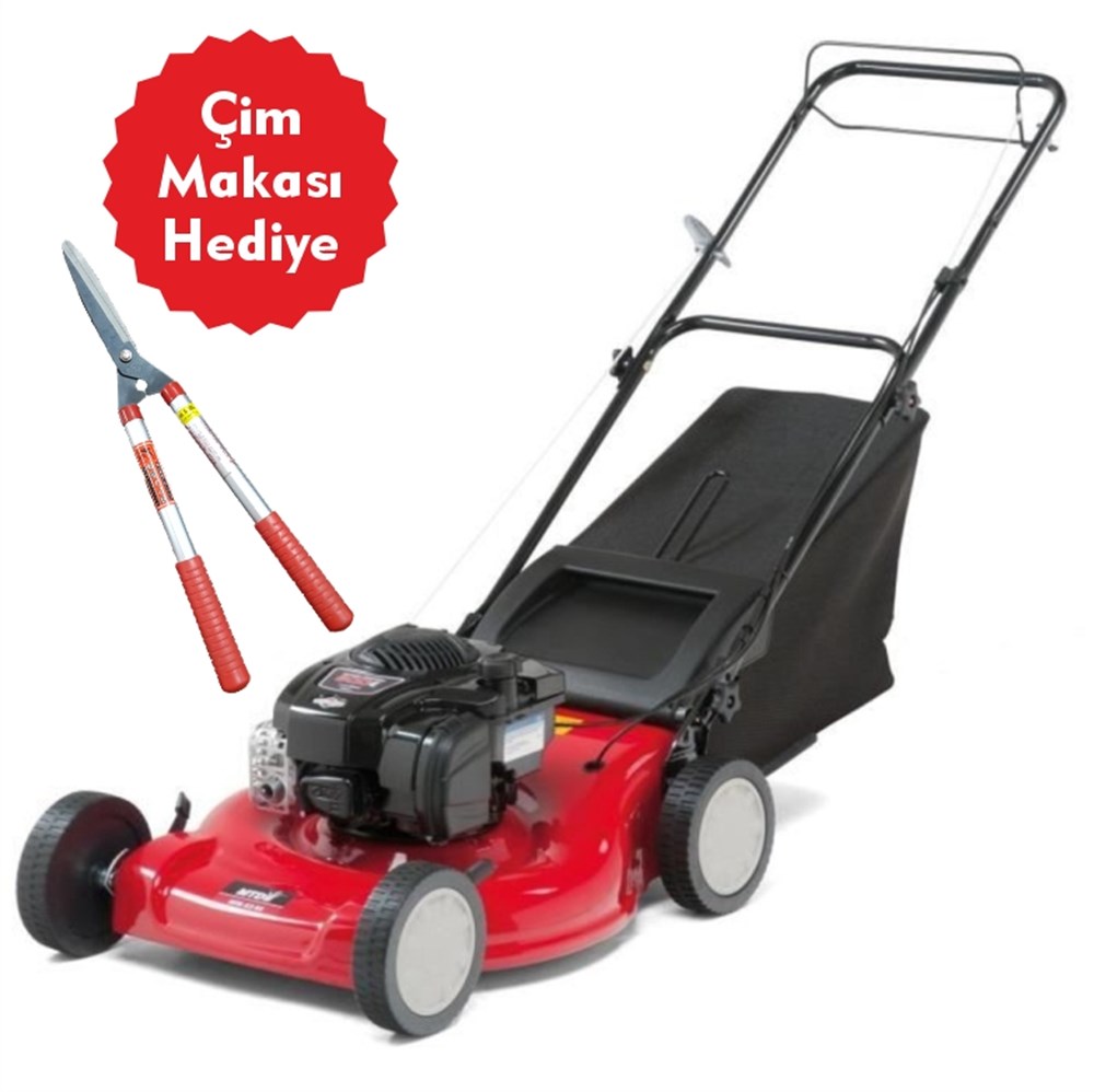 Mtd P53 BS