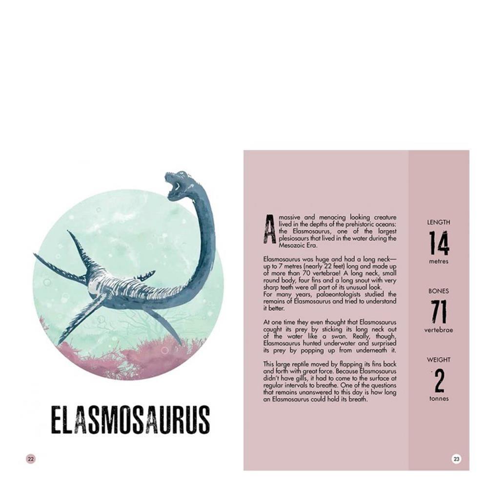 3D Stegosaurus -Book And 3D Model