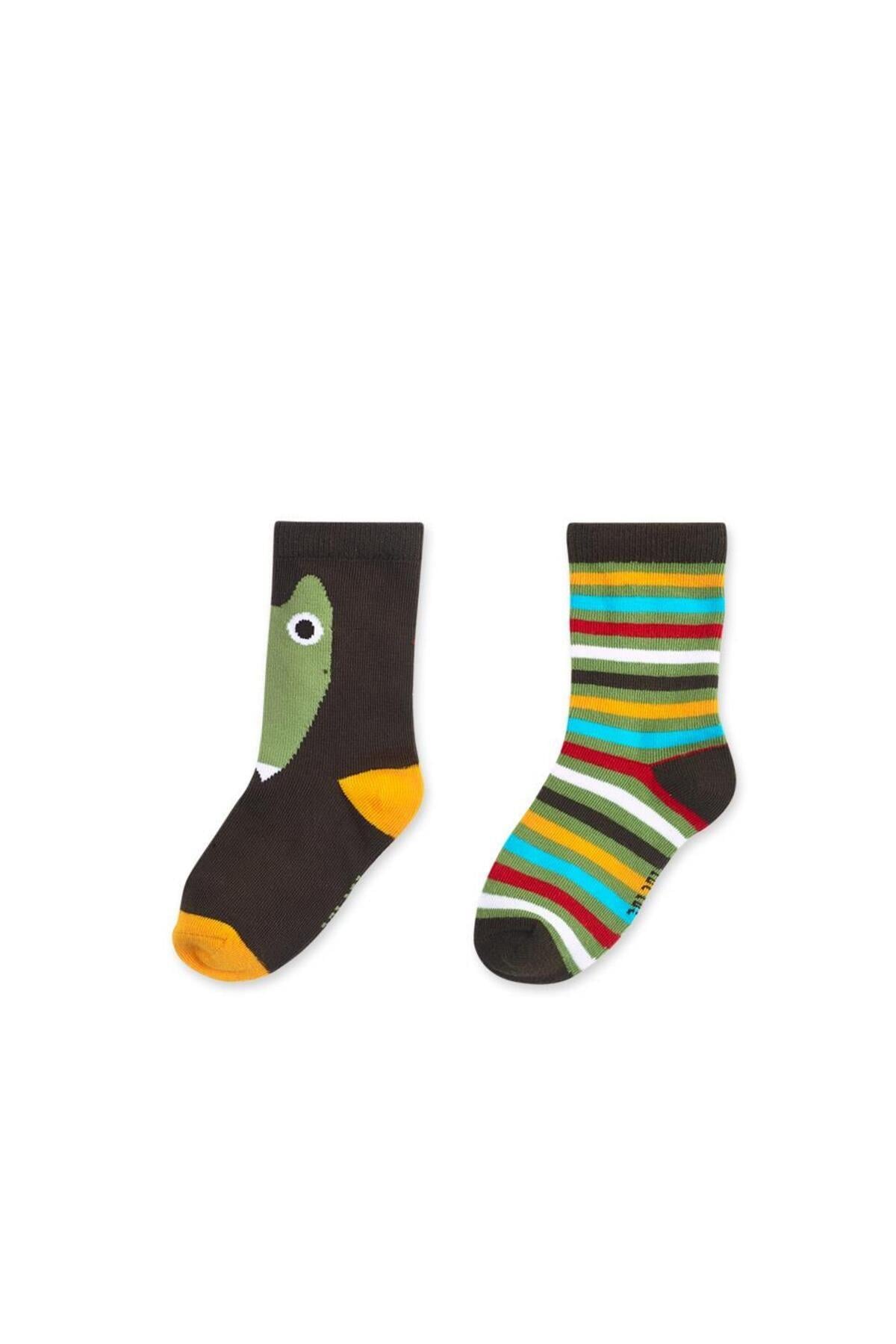 Erkek Çocuk Renkli Çorap Set 2 li